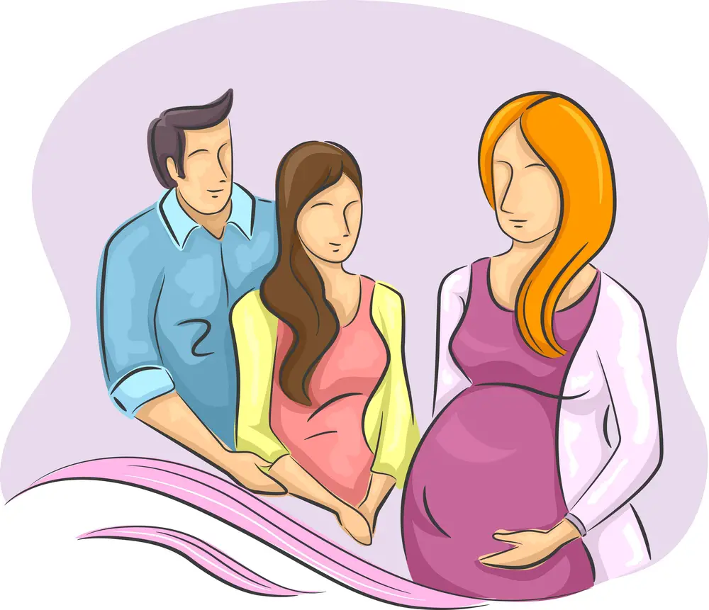 Implication of Rights for Surrogacy Arrangements - Law Times Journal