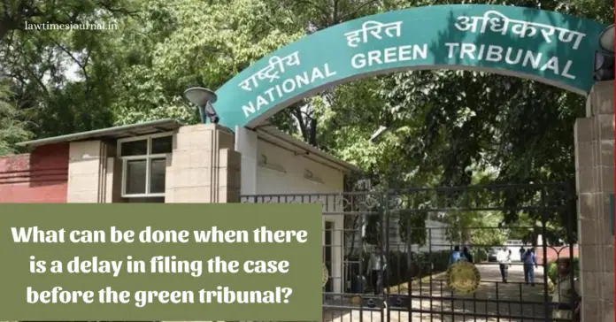 What can be done when there is a delay in filing the case before the Green Tribunal?