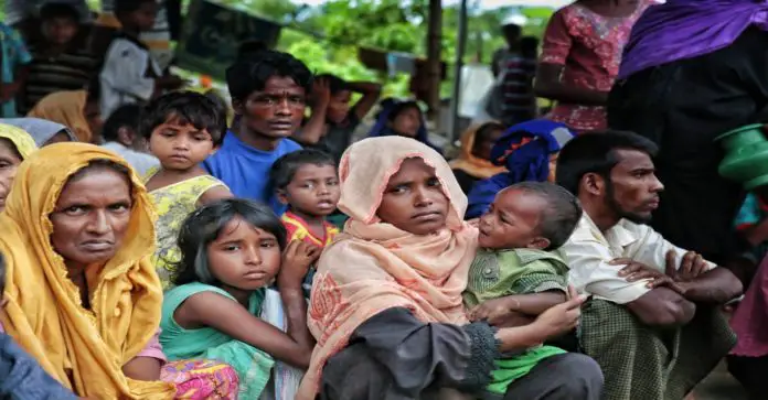 Transporting Rohingyas are more likely to torture them or death