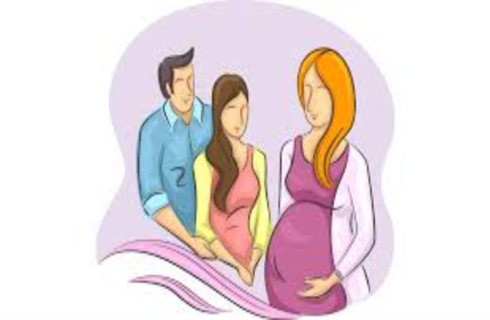 Surrogate Woman Entitled to Maternity Leave Benefits: Himachal HC