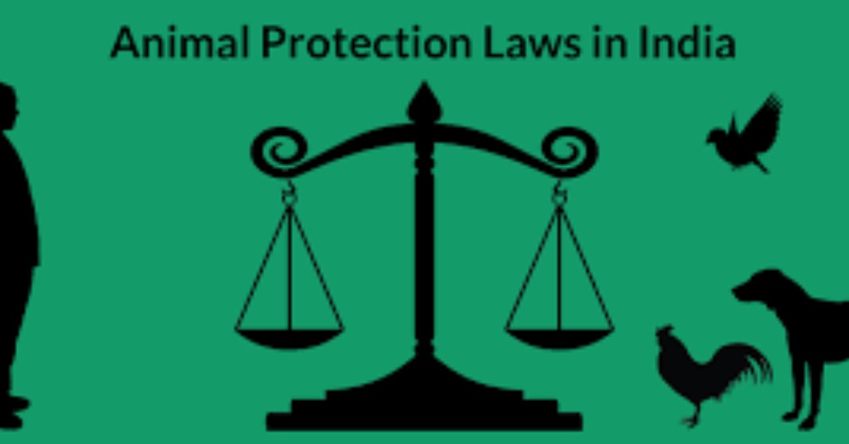 The Prevention of Cruelty to Animals Act, 1960 - Law Times Journal The Prevention of Cruelty to Animals Act, 1960 - Law Times Journal